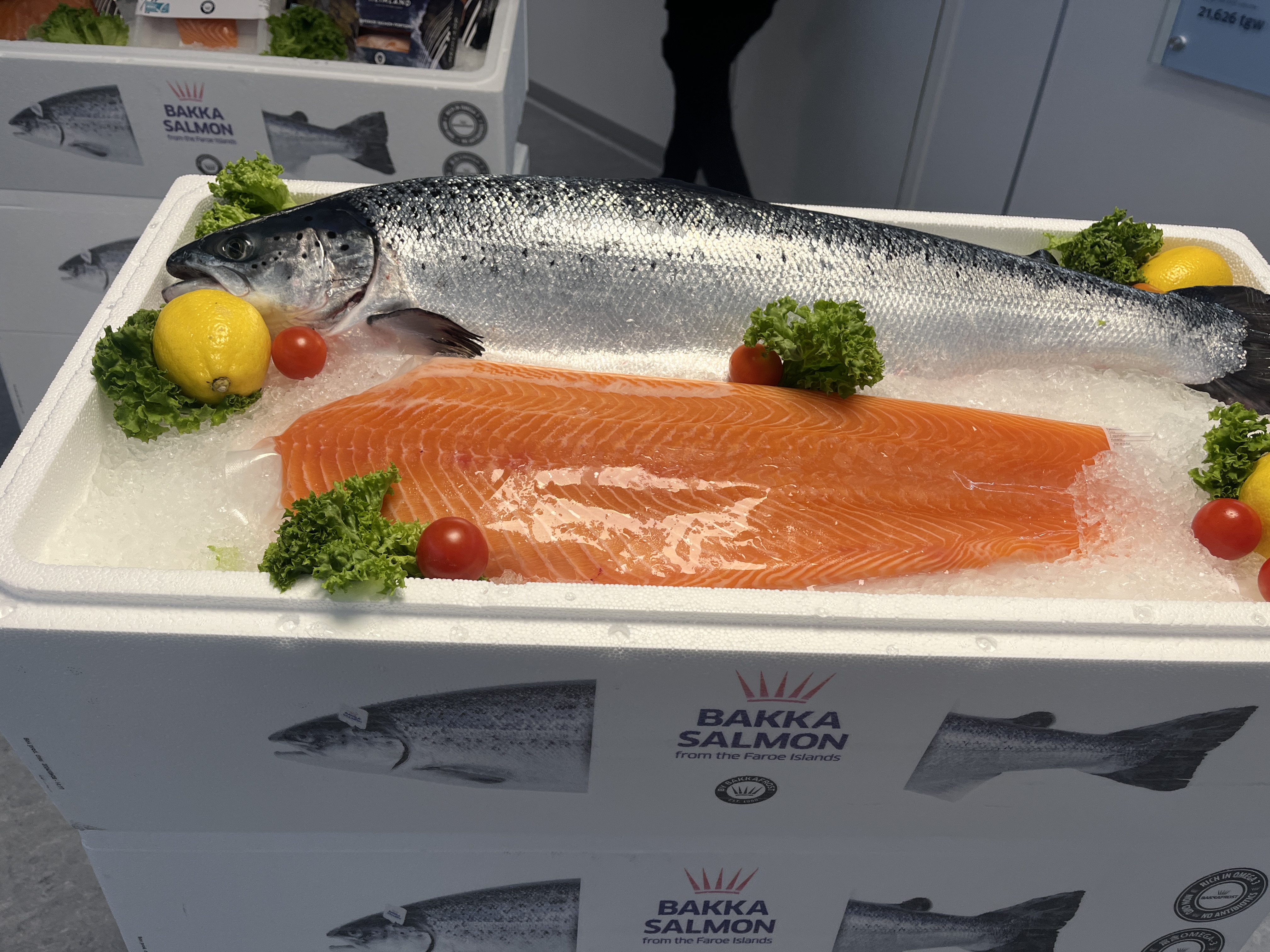 Samuel Fish & Shrimp Corp